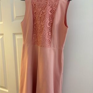 Zara Pink Lace Panel Dress